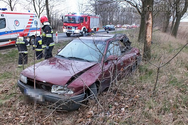 Opel Astra zatrzymał się na drzewie