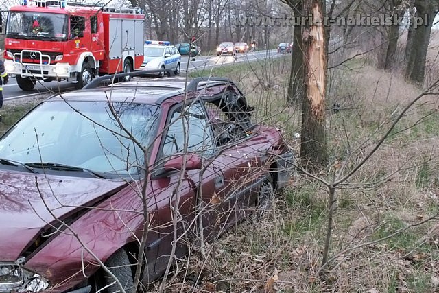 Opel Astra zatrzymał się na drzewie