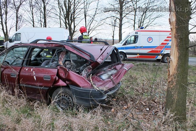 Opel Astra zatrzymał się na drzewie