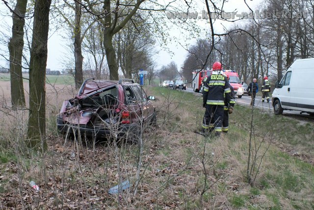 Opel Astra zatrzymał się na drzewie