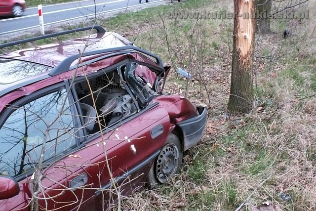 Opel Astra zatrzymał się na drzewie