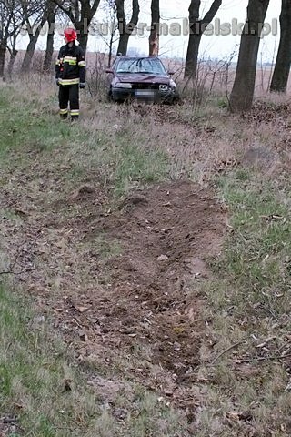 Opel Astra zatrzymał się na drzewie