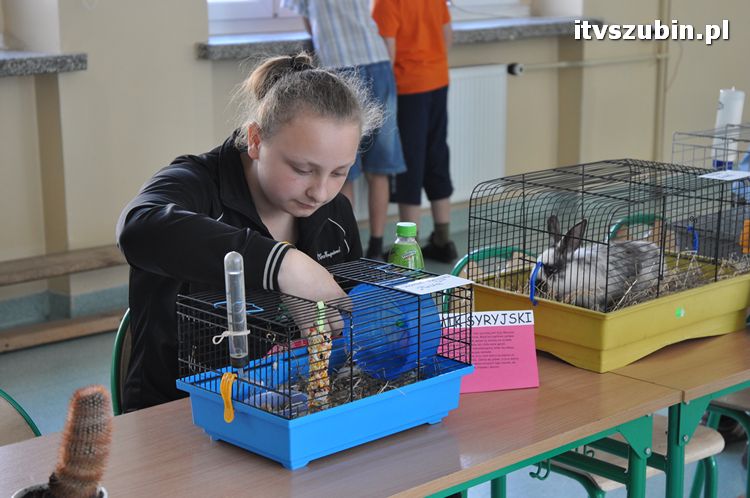 Festyn rodzinny w SP1 w Szubinie ?JEDYNKA TO RODZINKA?