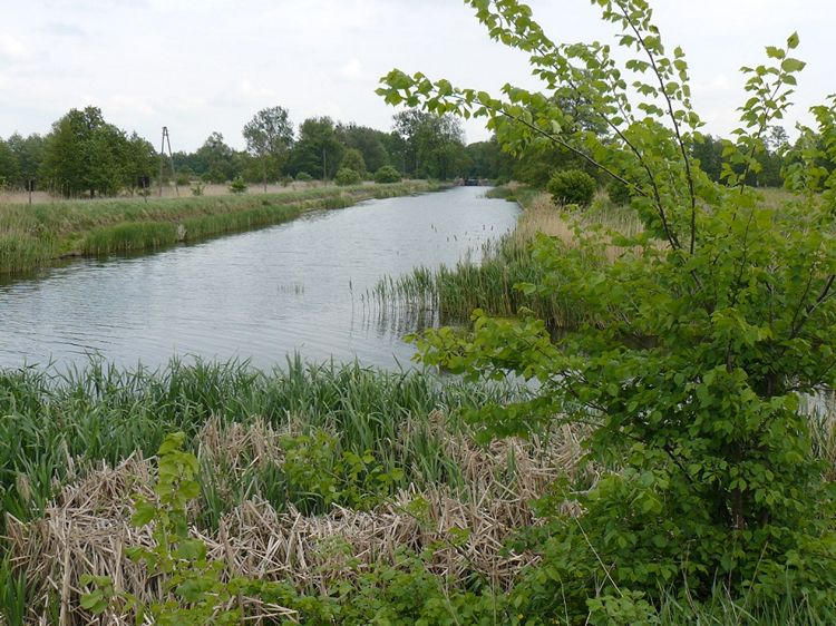 WYBÓR NALEŻY DO CIEBIE, SZKOŁY POD ŻAGLAMI KRZYWOUSTY I WYSPIAŃSKI