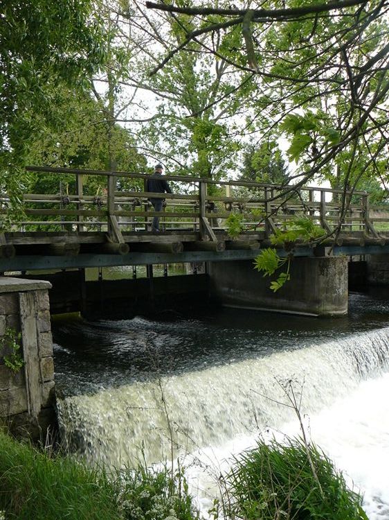 WYBÓR NALEŻY DO CIEBIE, SZKOŁY POD ŻAGLAMI KRZYWOUSTY I WYSPIAŃSKI
