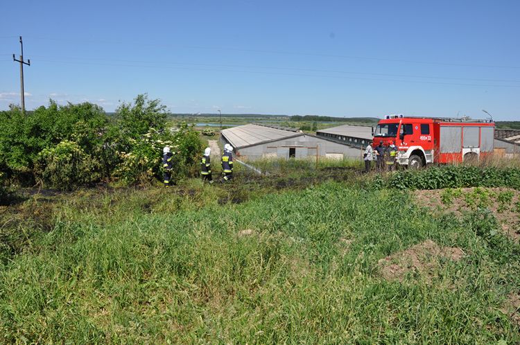 Pożar nieużytków w Słupach