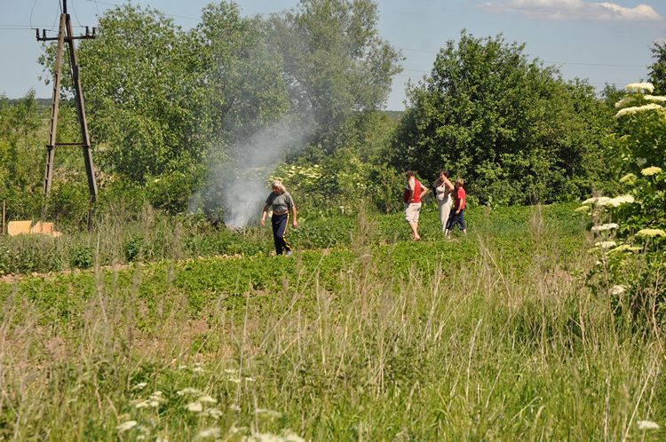 Pożar nieużytków w Słupach