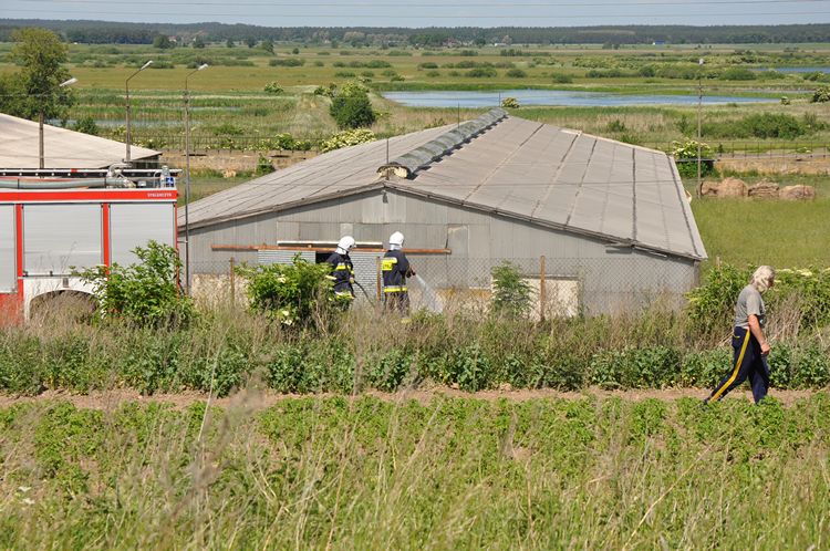Pożar nieużytków w Słupach