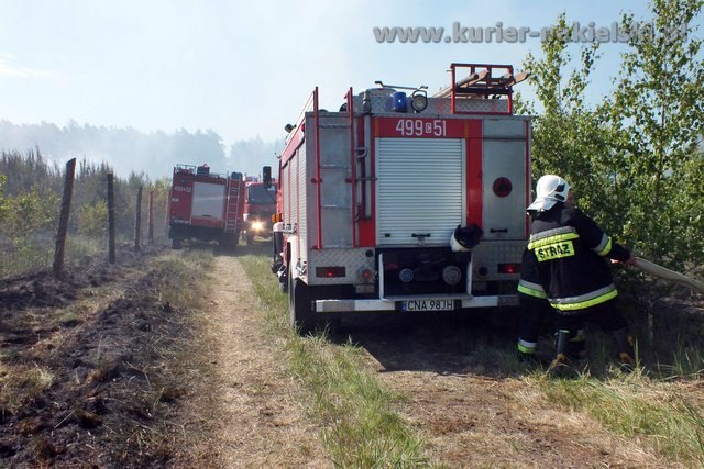 Kolejny pożar lasu