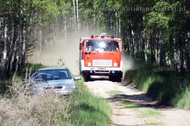 Kolejny pożar lasu