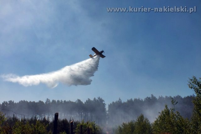 Kolejny pożar lasu