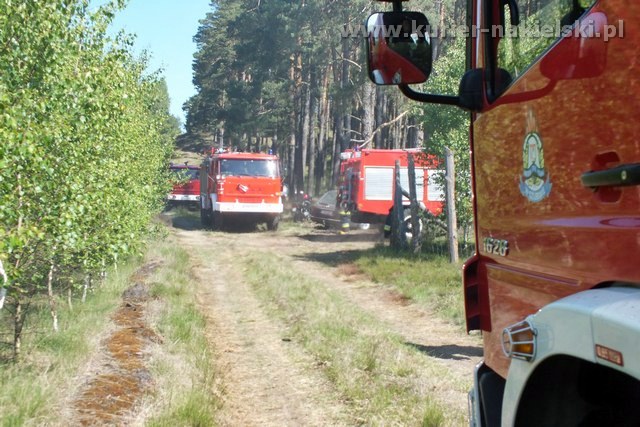 Kolejny pożar lasu