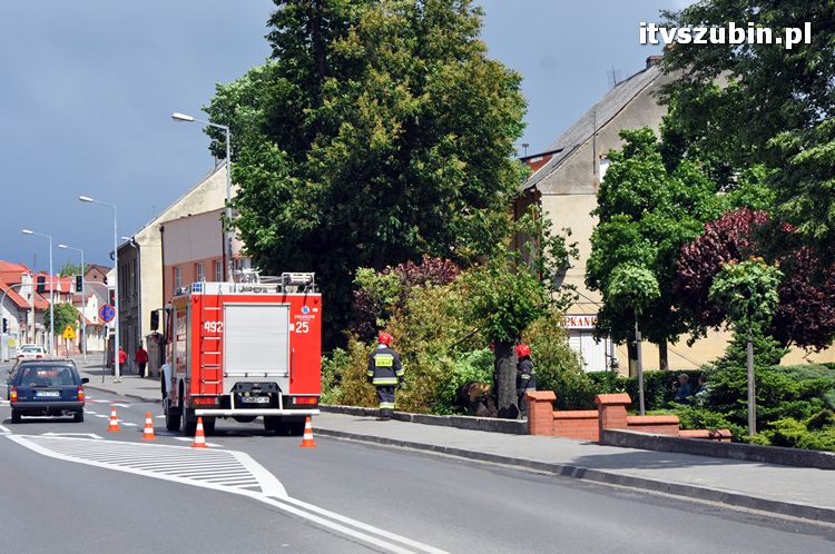 Powalone drzewo na pl. Wolności
