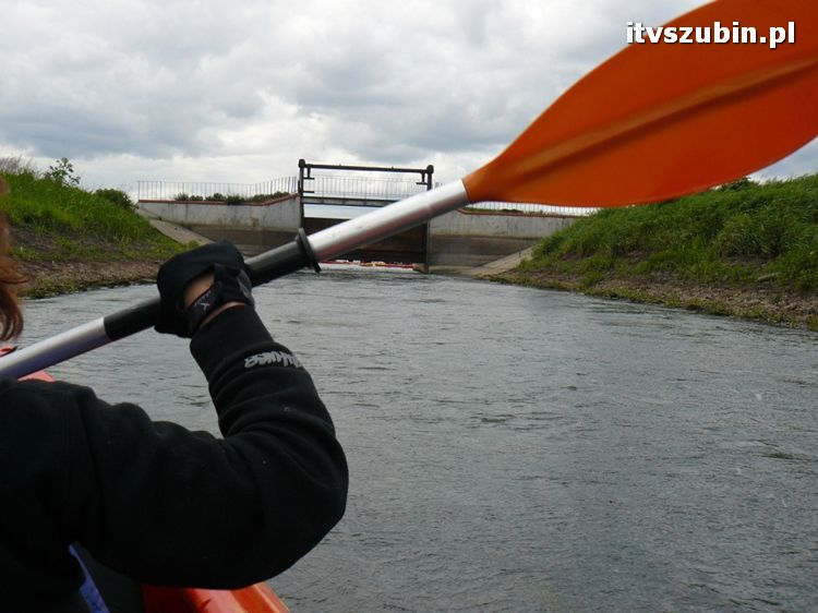 Szubińscy licealiści na kajakowym spływie Notecią