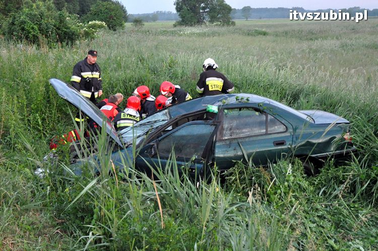 Feralny powrót z dyskoteki