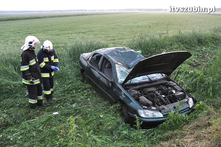 Feralny powrót z dyskoteki