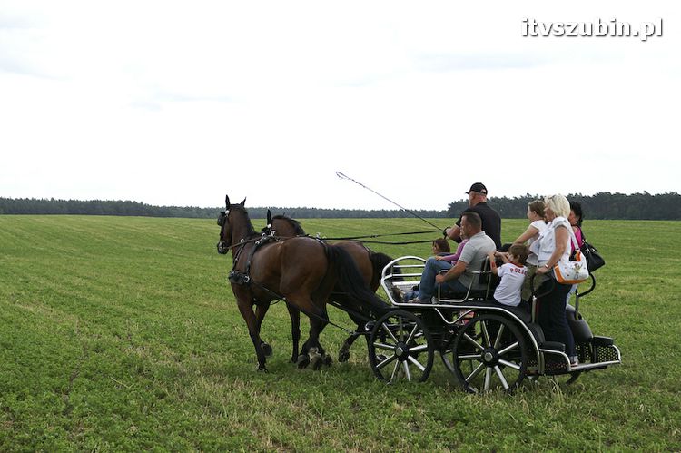FESTYN CHARYTATYWNY dla małej Julki