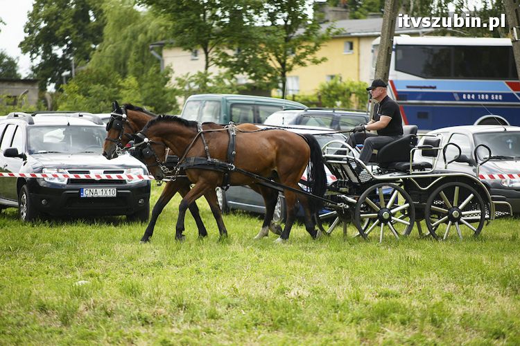 FESTYN CHARYTATYWNY dla małej Julki