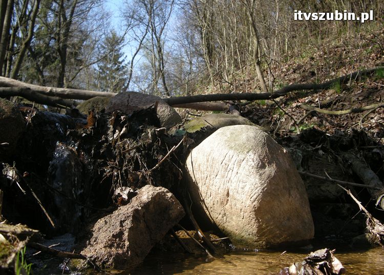 Gmina Szubin w obiektywie uczniów z Gimnazjum nr 1 w Szubinie