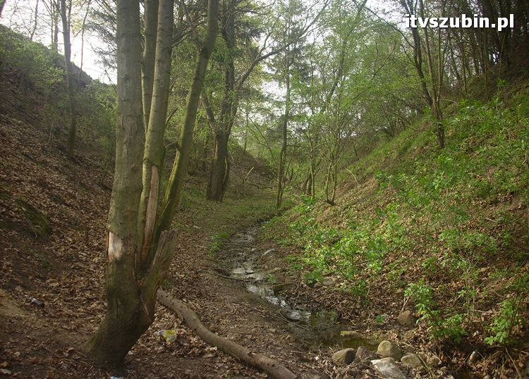 Gmina Szubin w obiektywie uczniów z Gimnazjum nr 1 w Szubinie