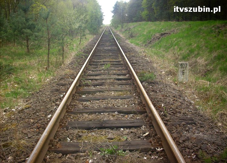 Gmina Szubin w obiektywie uczniów z Gimnazjum nr 1 w Szubinie