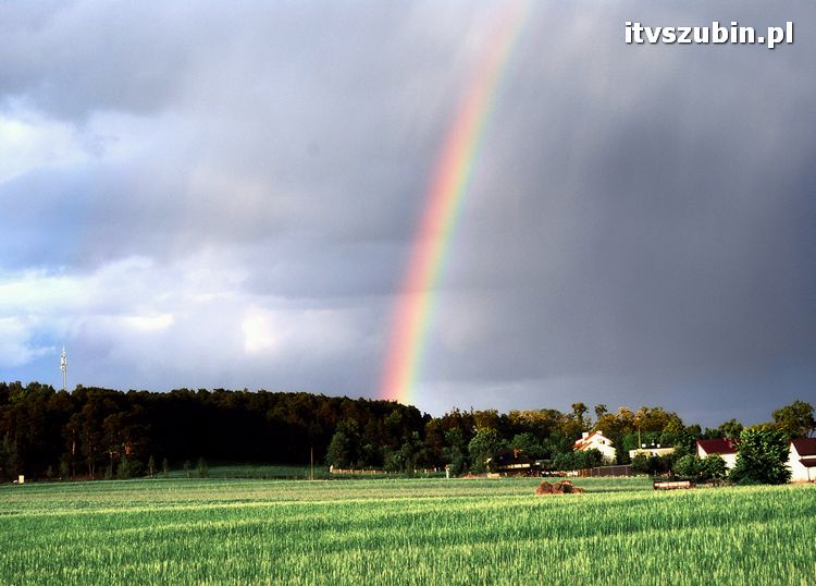 Gmina Szubin w obiektywie uczniów z Gimnazjum nr 1 w Szubinie