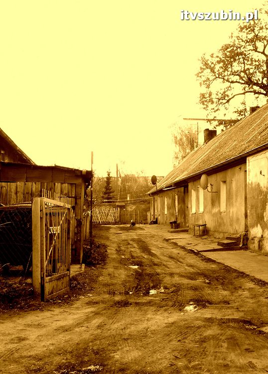 Gmina Szubin w obiektywie uczniów z Gimnazjum nr 1 w Szubinie