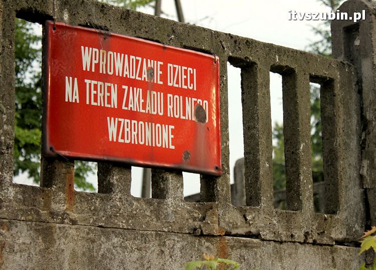 Gmina Szubin w obiektywie uczniów z Gimnazjum nr 1 w Szubinie