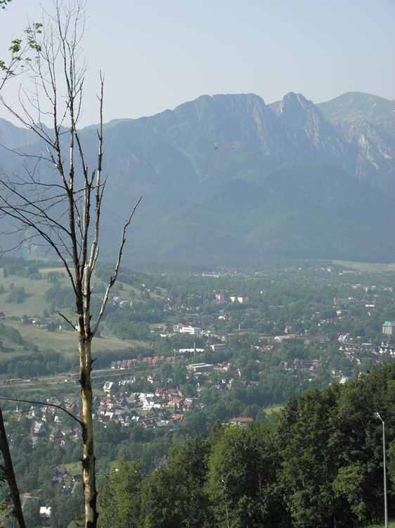 Super wycieczka ze Stowarzyszeniem Inicjatyw Rozwoju Rynarzewa!