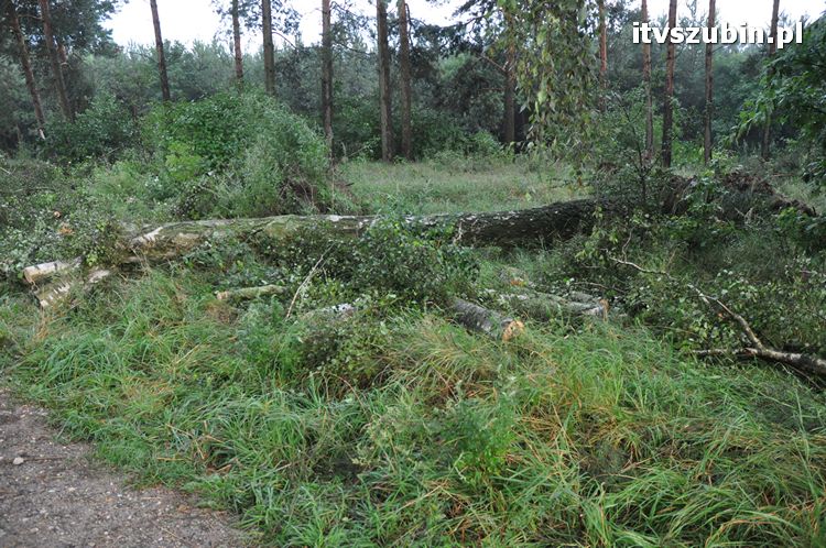 Pięć minut nawałnicy, usuwanie zniszczeń trwało do późnych godzin nocnych