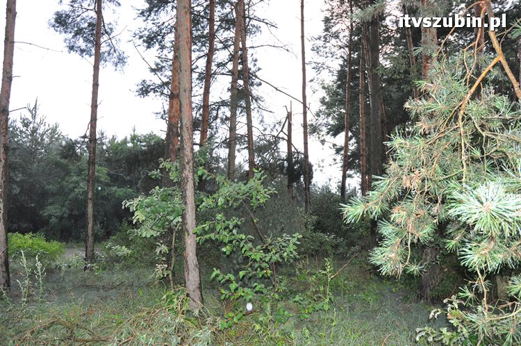 Pięć minut nawałnicy, usuwanie zniszczeń trwało do późnych godzin nocnych