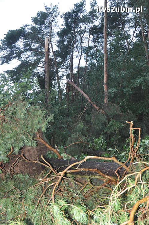 Pięć minut nawałnicy, usuwanie zniszczeń trwało do późnych godzin nocnych