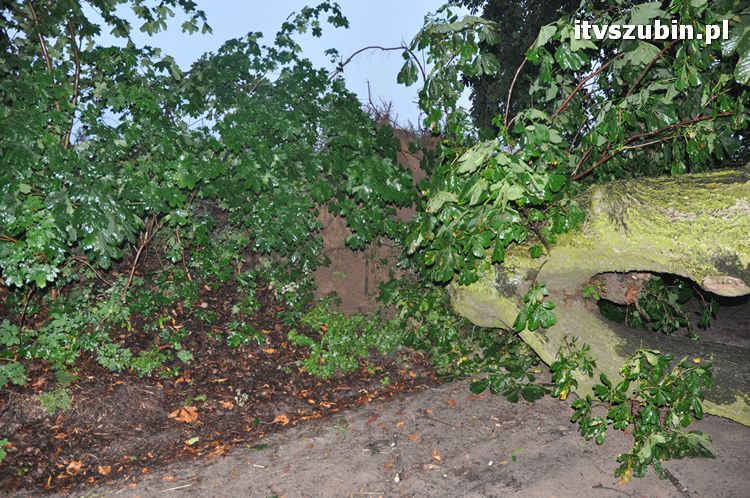 Pięć minut nawałnicy, usuwanie zniszczeń trwało do późnych godzin nocnych