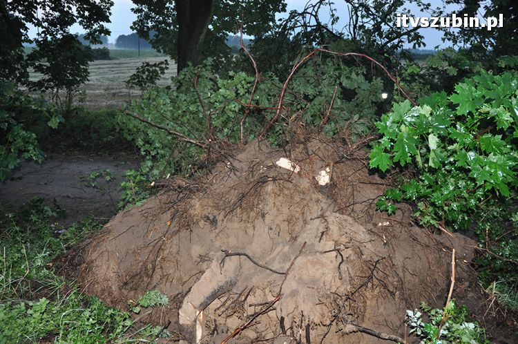 Pięć minut nawałnicy, usuwanie zniszczeń trwało do późnych godzin nocnych