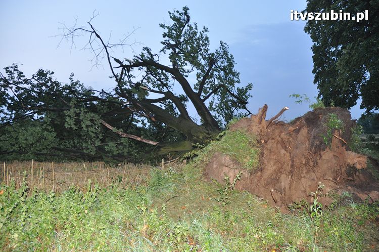 Pięć minut nawałnicy, usuwanie zniszczeń trwało do późnych godzin nocnych