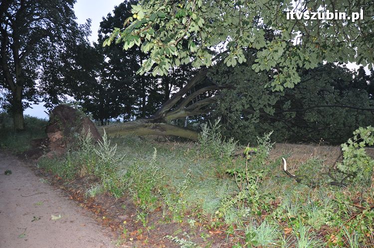 Pięć minut nawałnicy, usuwanie zniszczeń trwało do późnych godzin nocnych