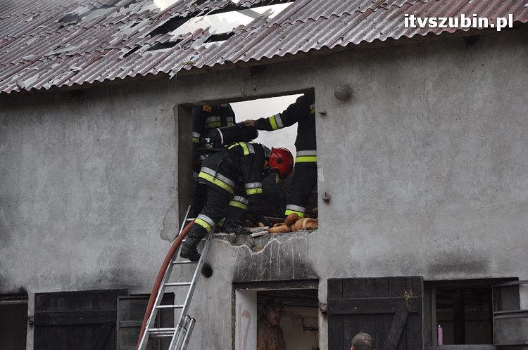 Pożar obory w Wąsoszu