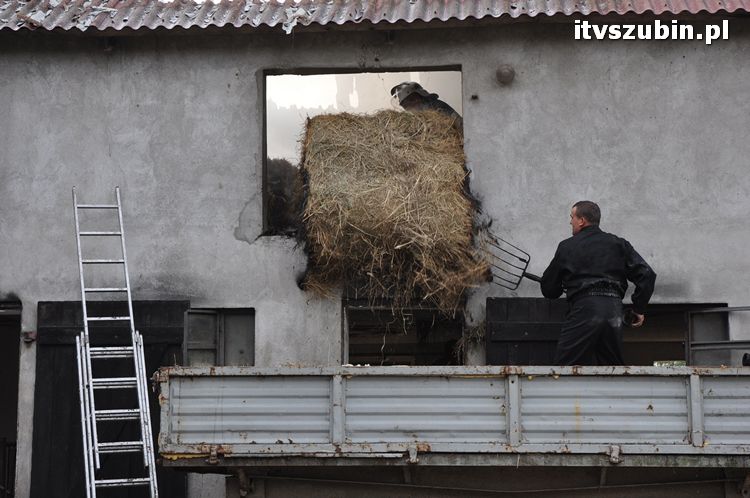 Pożar obory w Wąsoszu