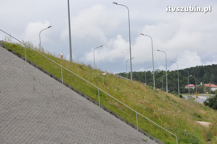 Bociek - pozostawiony naturalnej selekcji?