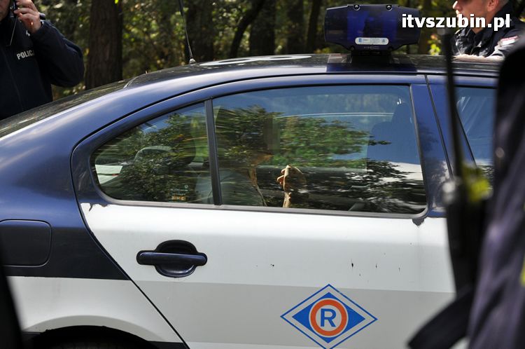 Wypadek pomiędzy Potulicami a Brzózkami