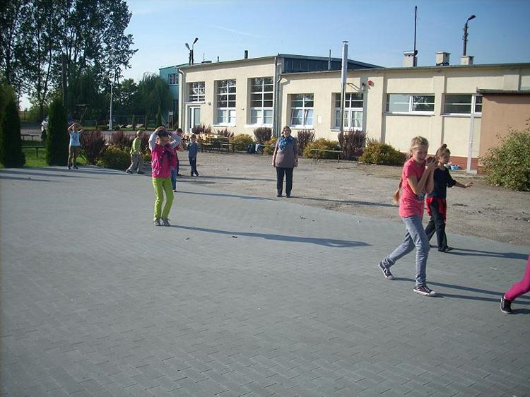 W Krainie Pieczonego Ziemniaka