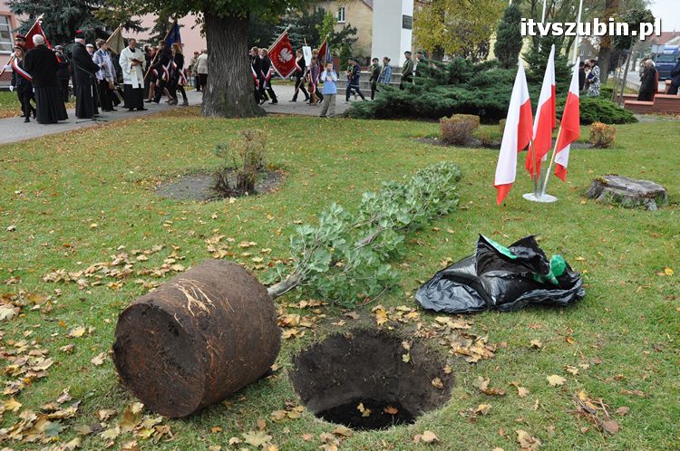 Dąb Pamięci posadzony