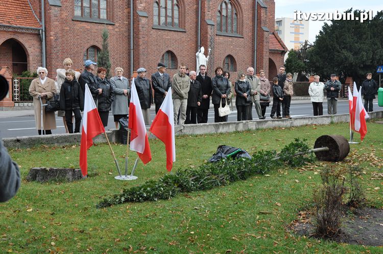 Dąb Pamięci posadzony