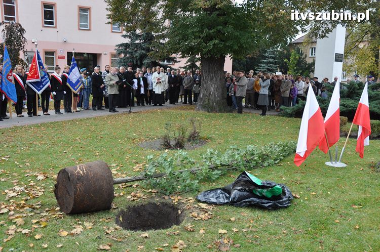 Dąb Pamięci posadzony