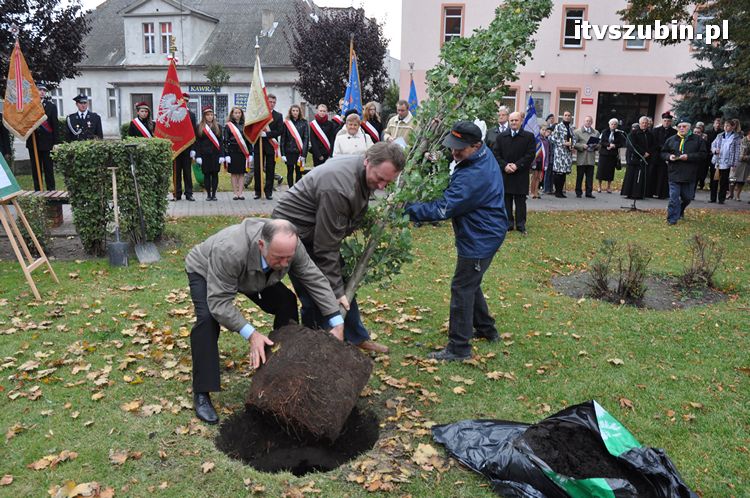 Dąb Pamięci posadzony