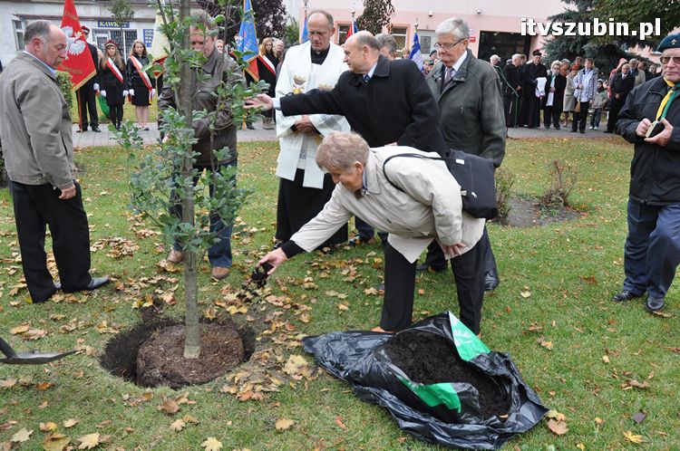 Dąb Pamięci posadzony