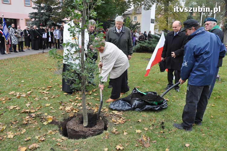 Dąb Pamięci posadzony