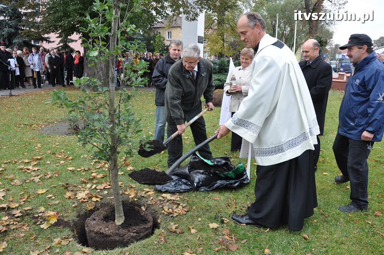 Dąb Pamięci posadzony