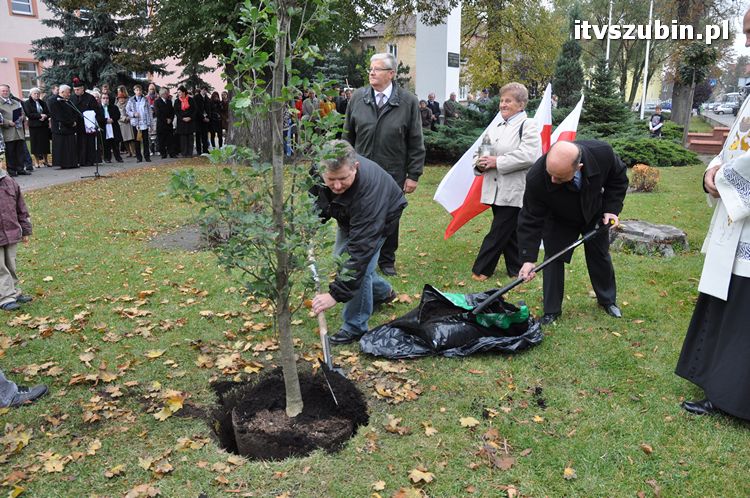 Dąb Pamięci posadzony