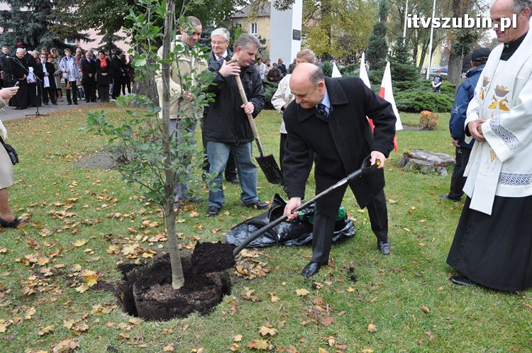 Dąb Pamięci posadzony